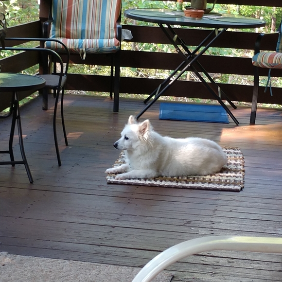 Meet your Posher, Dianna - Picture 4 of 11